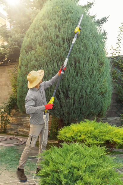 Best Artificial Turf Installation  in Richmond, KY